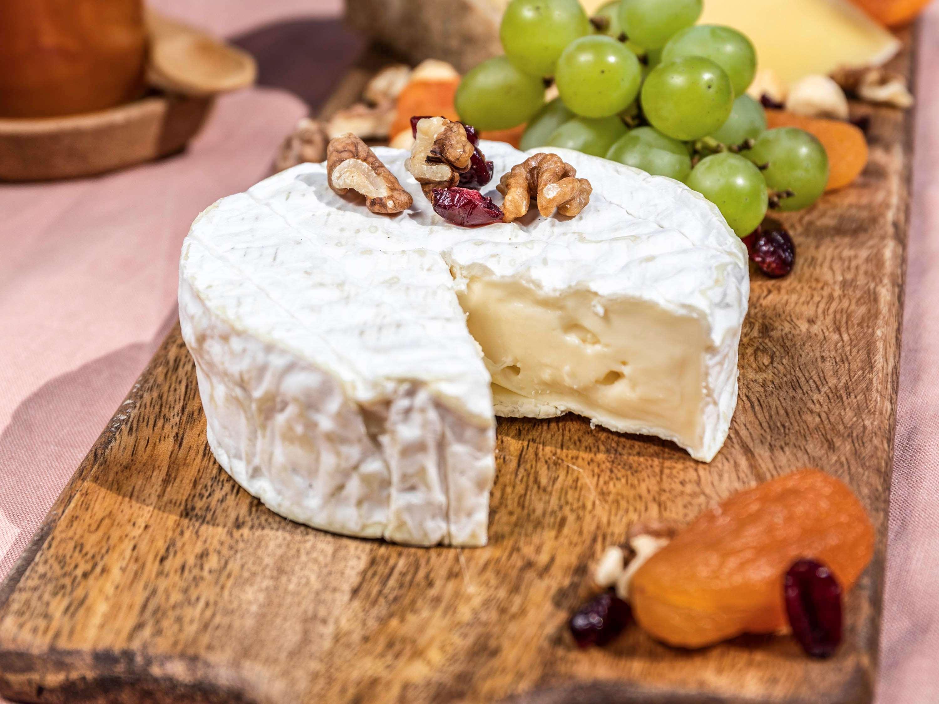 Novotel Chennai Sipcot Ngoại thất bức ảnh Camembert cheese