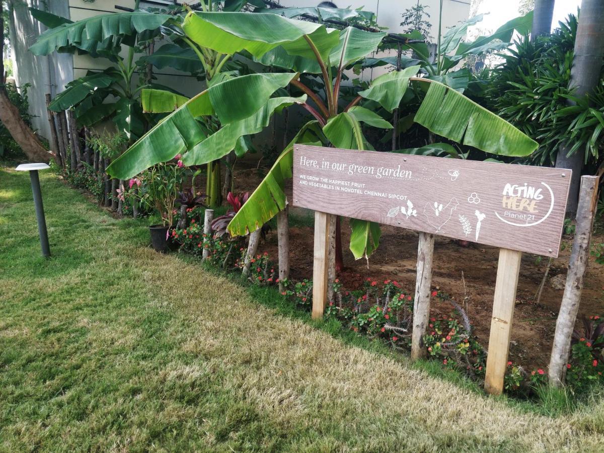 Novotel Chennai Sipcot Ngoại thất bức ảnh The Edible Garden at the National Gallery Singapore